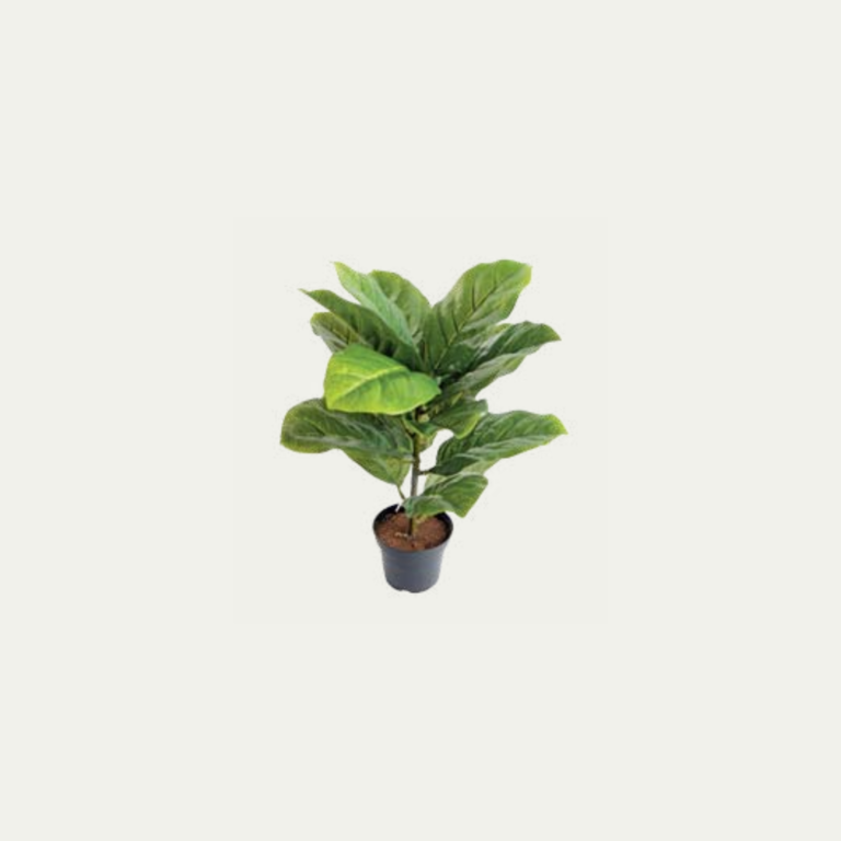 Fiddle leaf fig artificial plant.